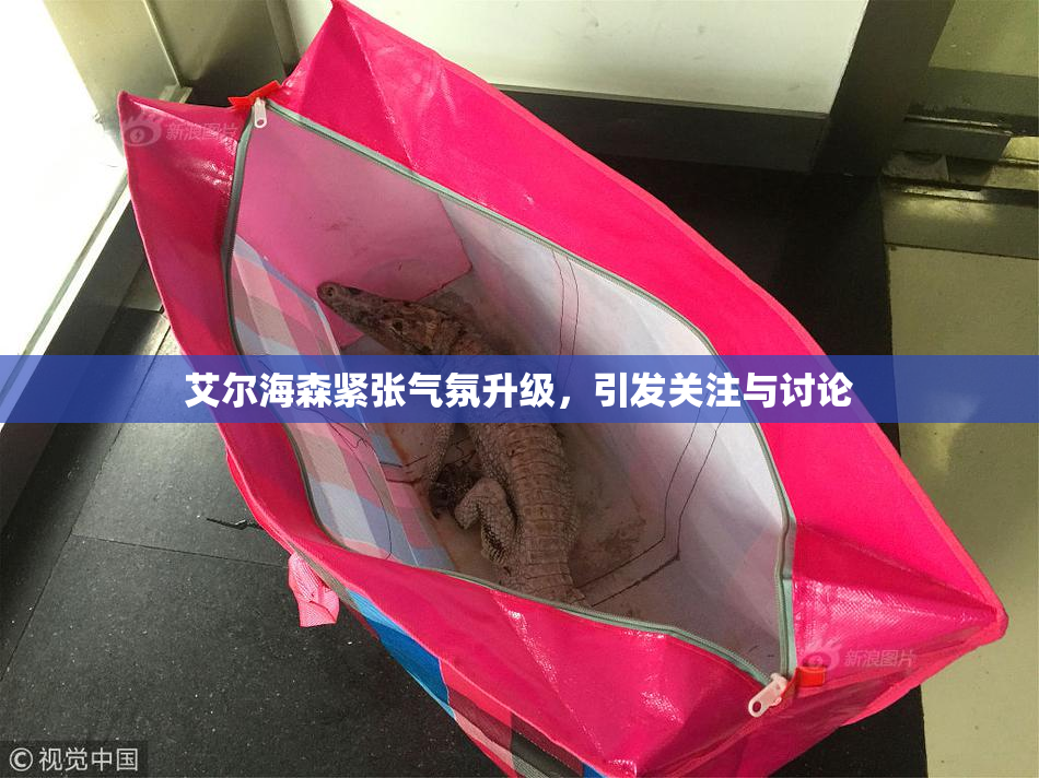 艾尔海森紧张气氛升级，引发关注与讨论