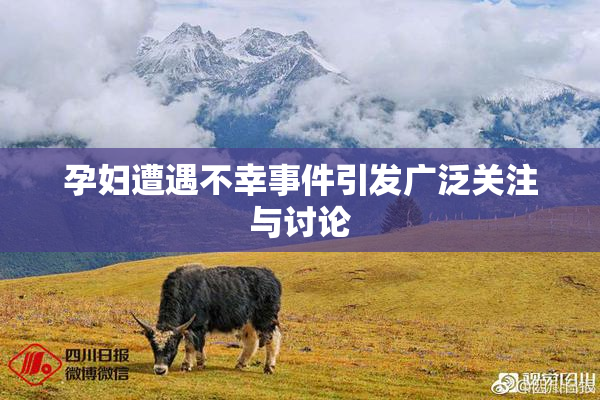 孕妇遭遇不幸事件引发广泛关注与讨论