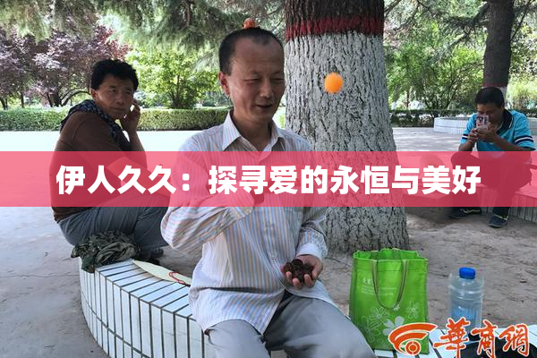 伊人久久：探寻爱的永恒与美好