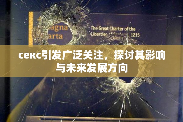ceкс引发广泛关注，探讨其影响与未来发展方向