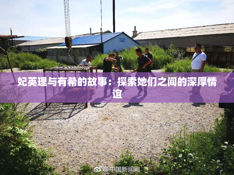 妃英理与有希的故事：探索她们之间的深厚情谊