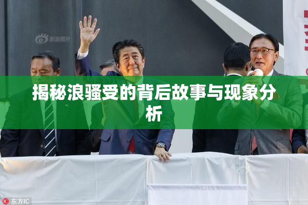 揭秘浪骚受的背后故事与现象分析