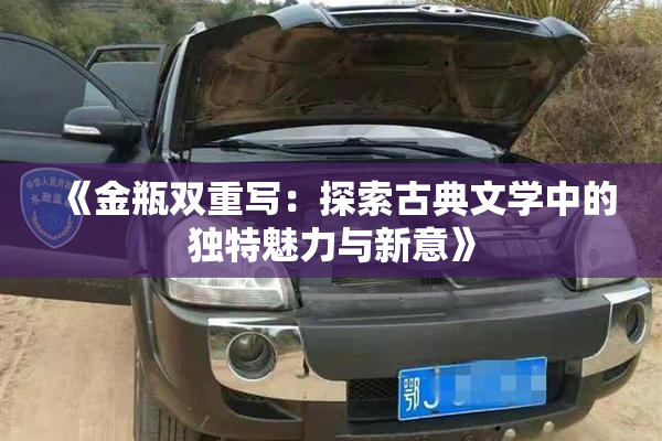 《金瓶双重写：探索古典文学中的独特魅力与新意》