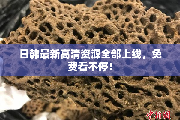 日韩最新高清资源全部上线，免费看不停！