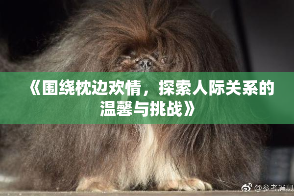 《围绕枕边欢情，探索人际关系的温馨与挑战》