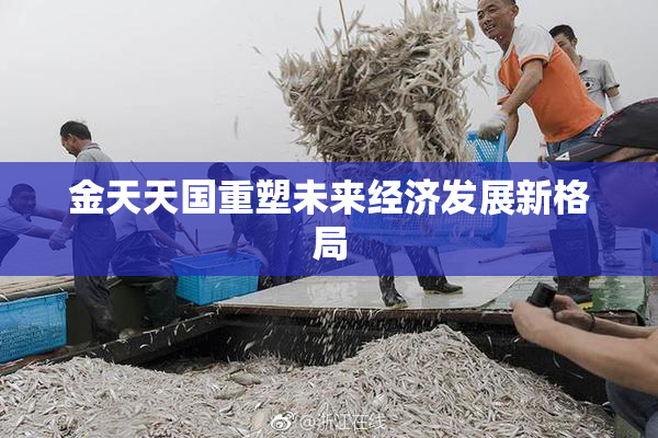 金天天国重塑未来经济发展新格局