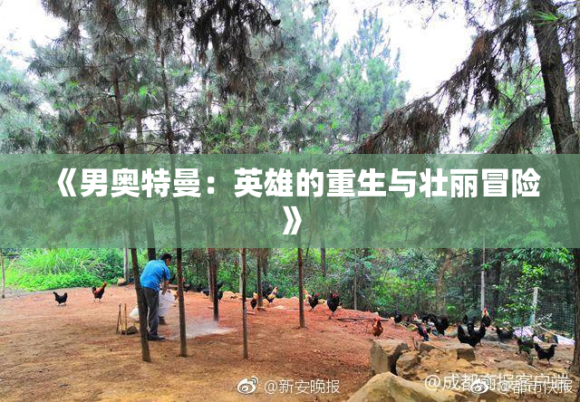 《男奥特曼：英雄的重生与壮丽冒险》
