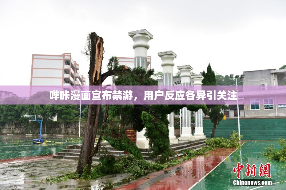 哔咔漫画宣布禁游，用户反应各异引关注