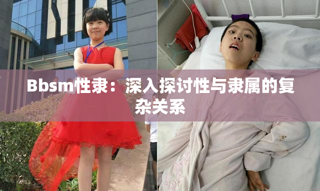 Bbsm性隶：深入探讨性与隶属的复杂关系