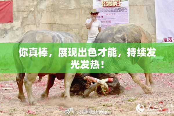 你真棒，展现出色才能，持续发光发热！