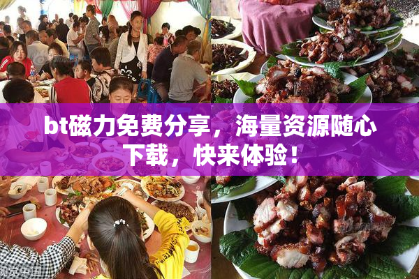 bt磁力免费分享，海量资源随心下载，快来体验！
