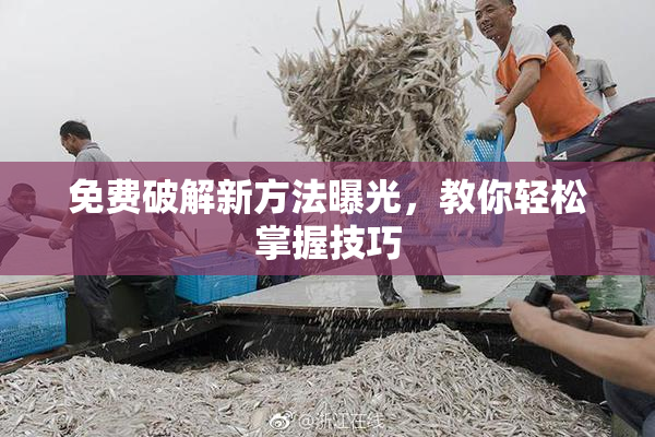 免费破解新方法曝光，教你轻松掌握技巧