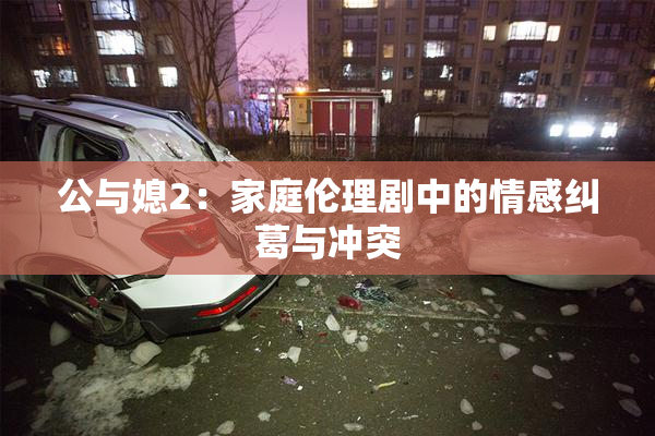 公与媳2：家庭伦理剧中的情感纠葛与冲突