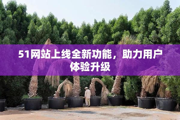 51网站上线全新功能，助力用户体验升级
