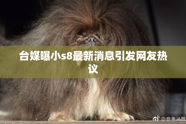 台媒曝小s8最新消息引发网友热议