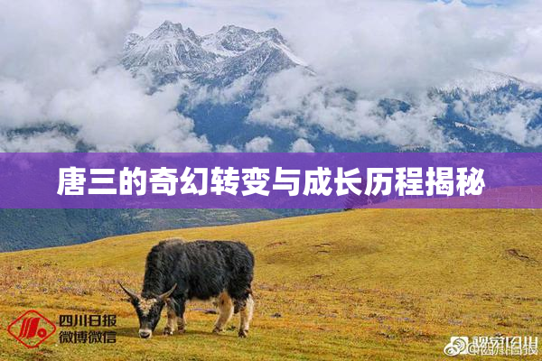 唐三的奇幻转变与成长历程揭秘