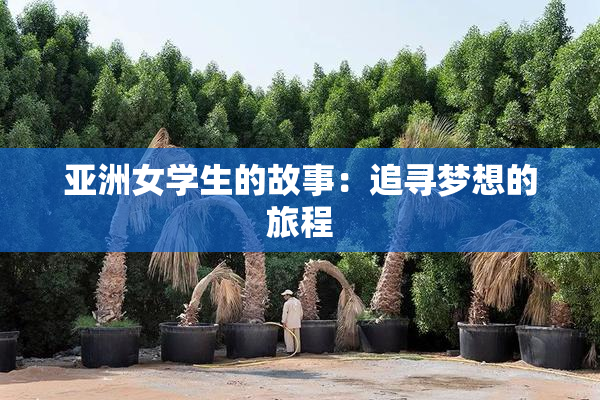 亚洲女学生的故事：追寻梦想的旅程