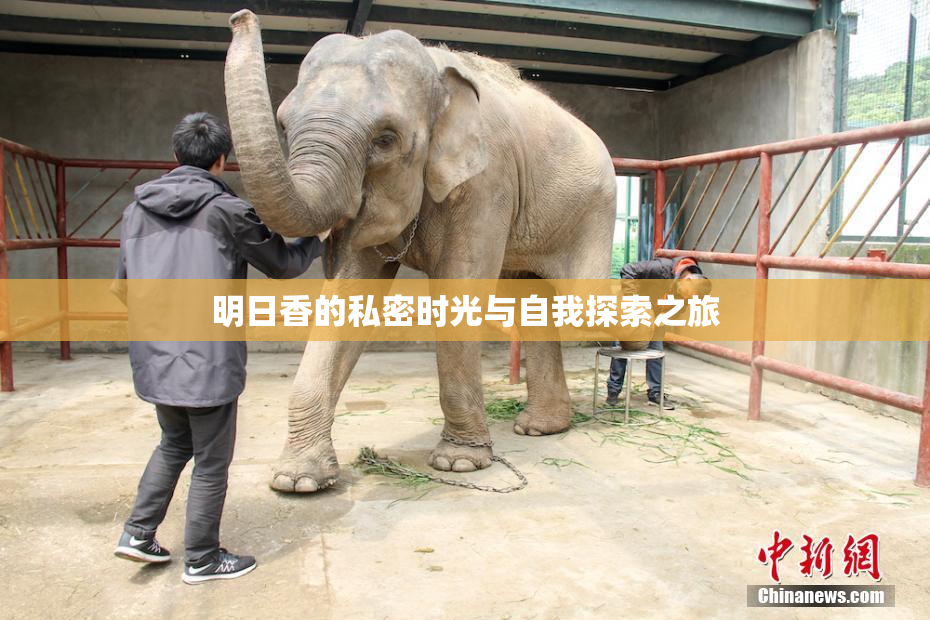 明日香的私密时光与自我探索之旅
