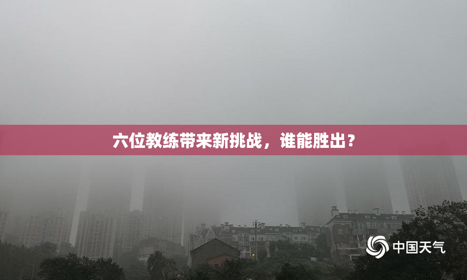 六位教练带来新挑战，谁能胜出？