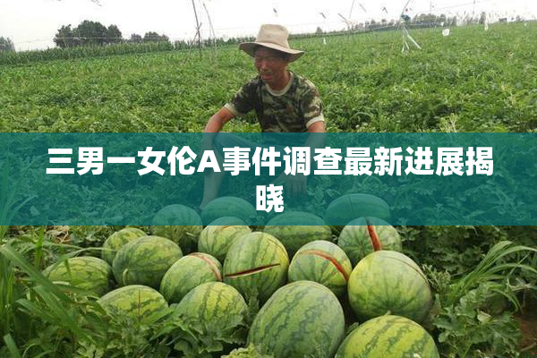 三男一女伦A事件调查最新进展揭晓