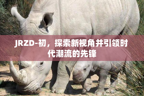 JRZD-初，探索新视角并引领时代潮流的先锋
