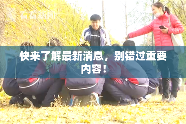 快来了解最新消息，别错过重要内容！