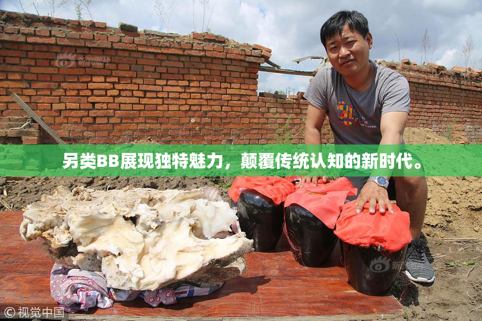 另类BB展现独特魅力，颠覆传统认知的新时代。