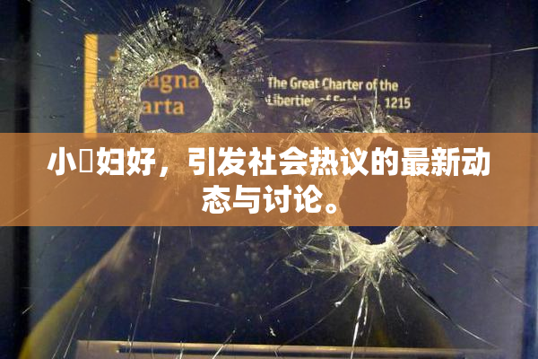 小婬妇好，引发社会热议的最新动态与讨论。