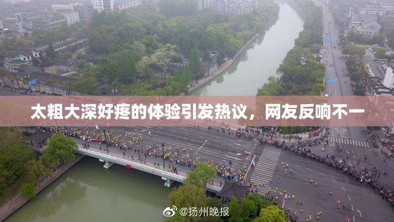 太粗大深好疼的体验引发热议，网友反响不一