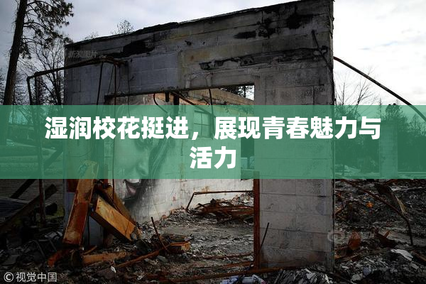 湿润校花挺进，展现青春魅力与活力
