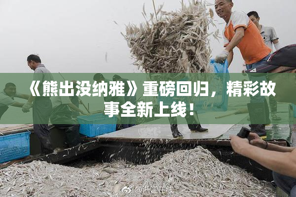 《熊出没纳雅》重磅回归，精彩故事全新上线！