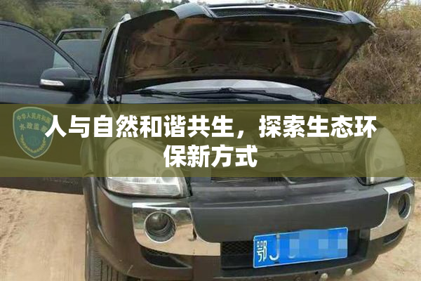 人与自然和谐共生，探索生态环保新方式