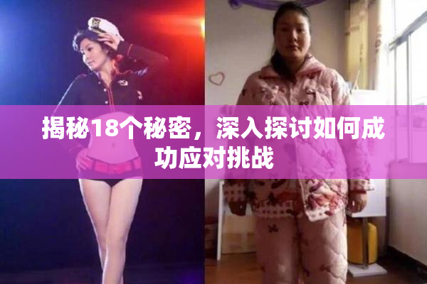 揭秘18个秘密，深入探讨如何成功应对挑战