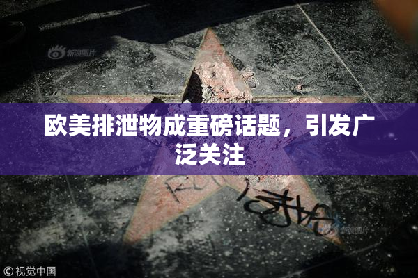 欧美排泄物成重磅话题，引发广泛关注