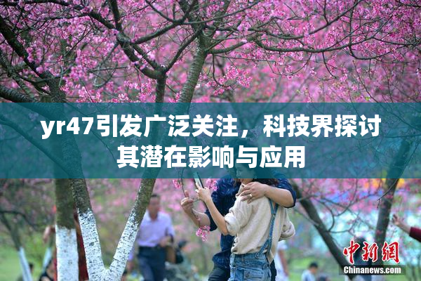 yr47引发广泛关注，科技界探讨其潜在影响与应用