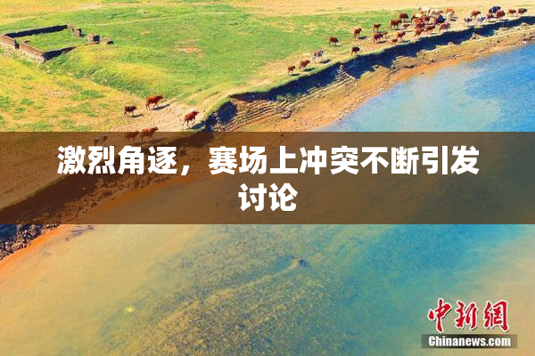 激烈角逐，赛场上冲突不断引发讨论