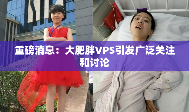 重磅消息：大肥胖VPS引发广泛关注和讨论