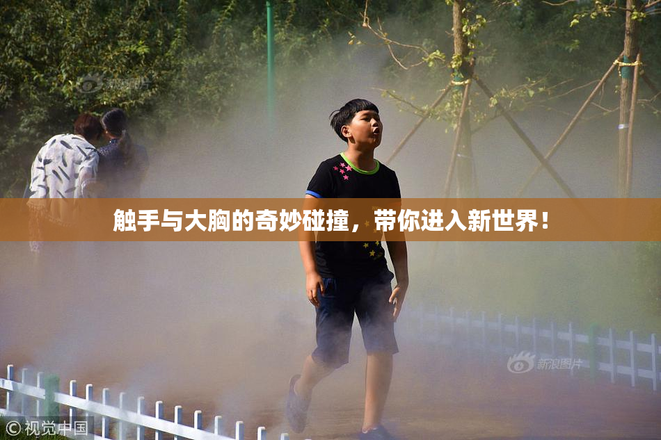 触手与大胸的奇妙碰撞，带你进入新世界！