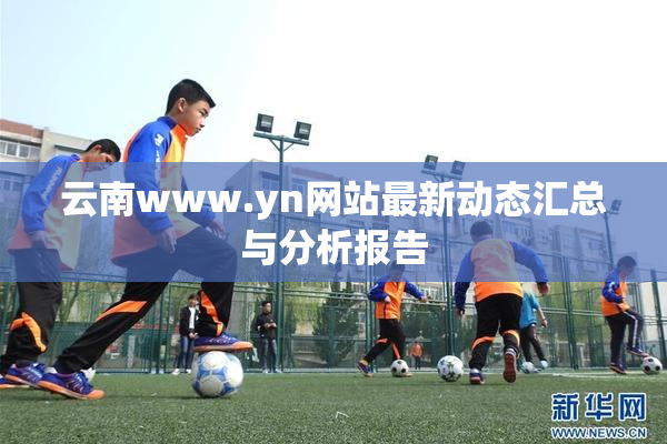 云南www.yn网站最新动态汇总与分析报告