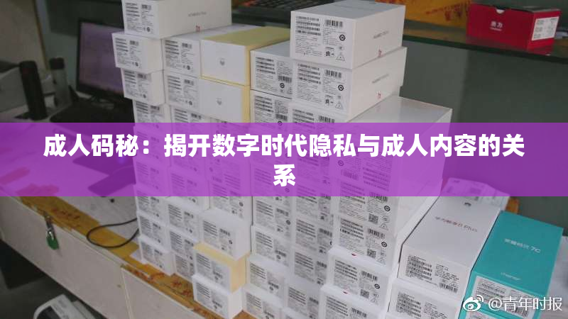 成人码秘：揭开数字时代隐私与成人内容的关系