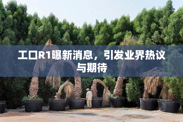 工口R1曝新消息，引发业界热议与期待