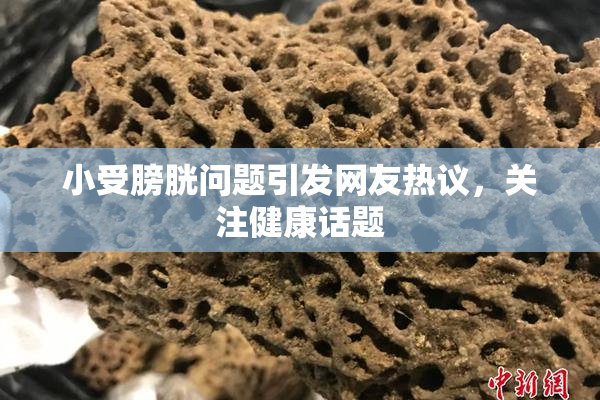 小受膀胱问题引发网友热议，关注健康话题