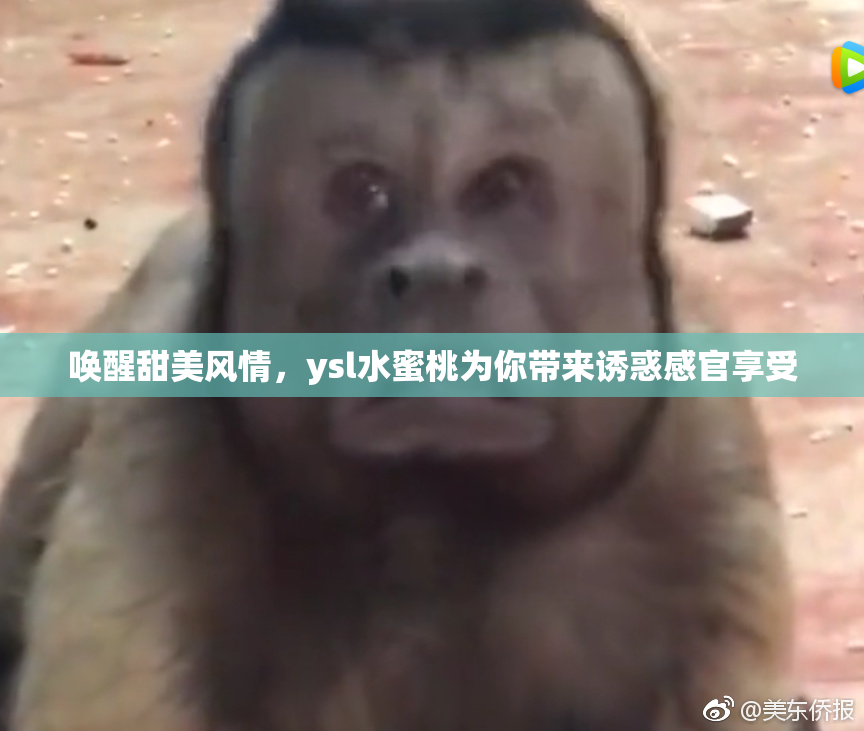 唤醒甜美风情，ysl水蜜桃为你带来诱惑感官享受