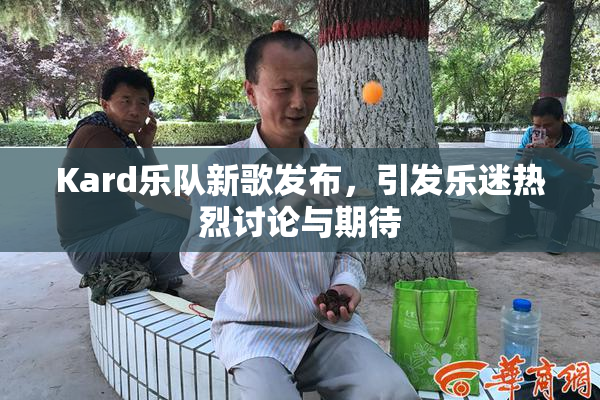 Kard乐队新歌发布，引发乐迷热烈讨论与期待