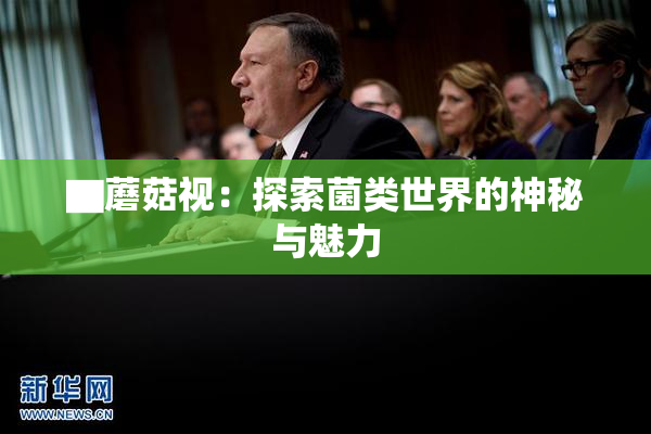 ▇蘑菇视：探索菌类世界的神秘与魅力