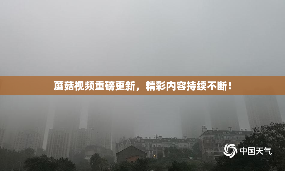蘑菇视频重磅更新，精彩内容持续不断！