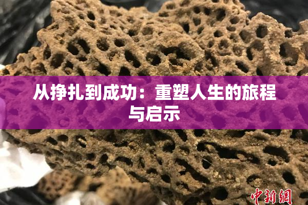 从挣扎到成功：重塑人生的旅程与启示