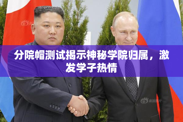 分院帽测试揭示神秘学院归属，激发学子热情