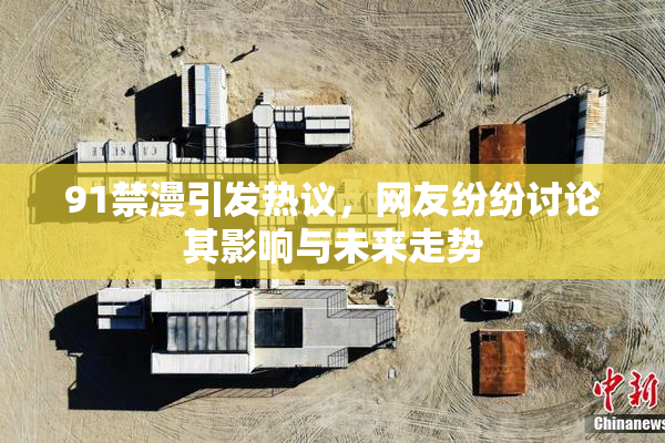 91禁漫引发热议，网友纷纷讨论其影响与未来走势
