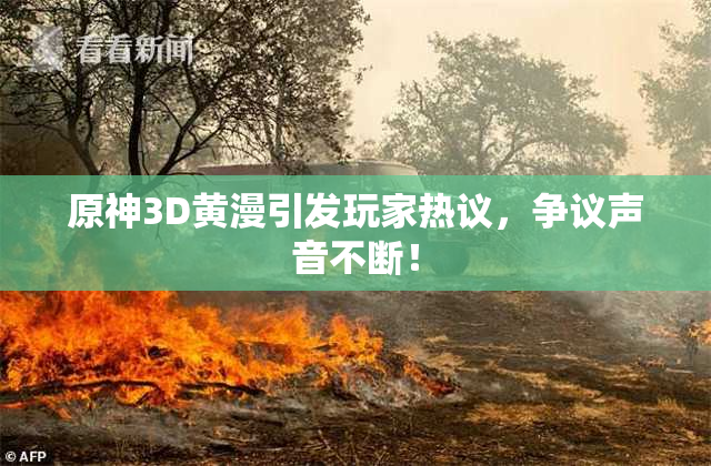 原神3D黄漫引发玩家热议，争议声音不断！